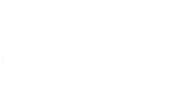 Global Palete
