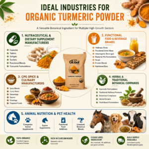 Best Organic Turmeric Powder